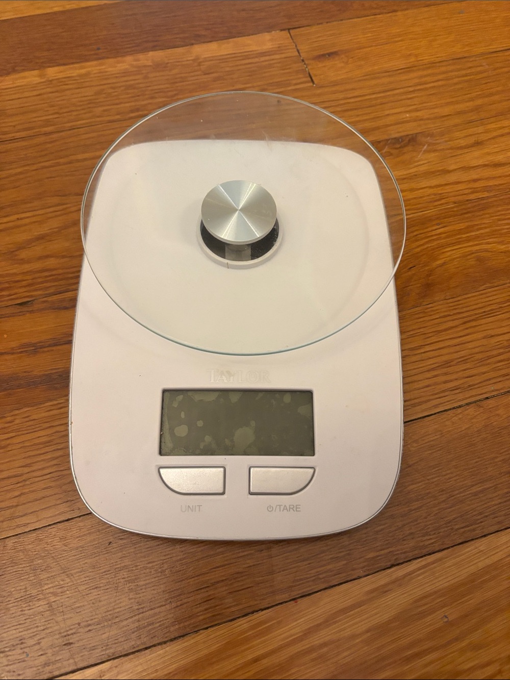 Taylor White Food Scale
